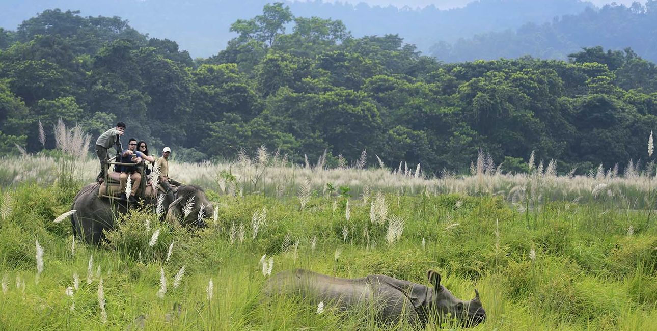 Chitwan Jungle Safari Tour