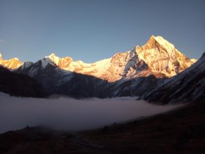 Best Trekking Company