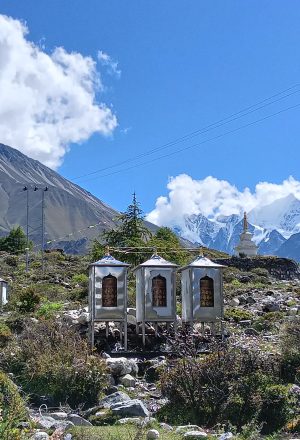 Trekking in Nepal: A Life-Changing Adventure with Best Trekking Company